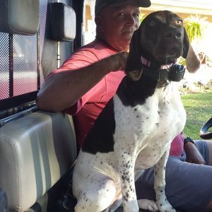 Meet your Posher, Bill